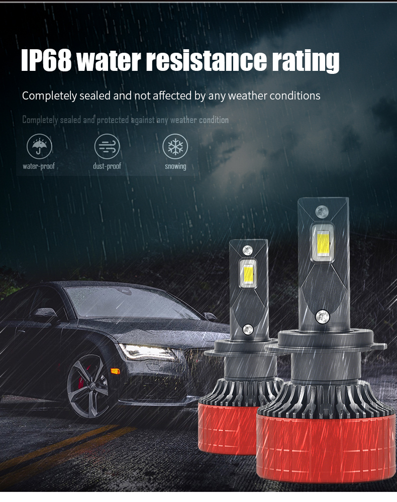 详情_08 详情 _08