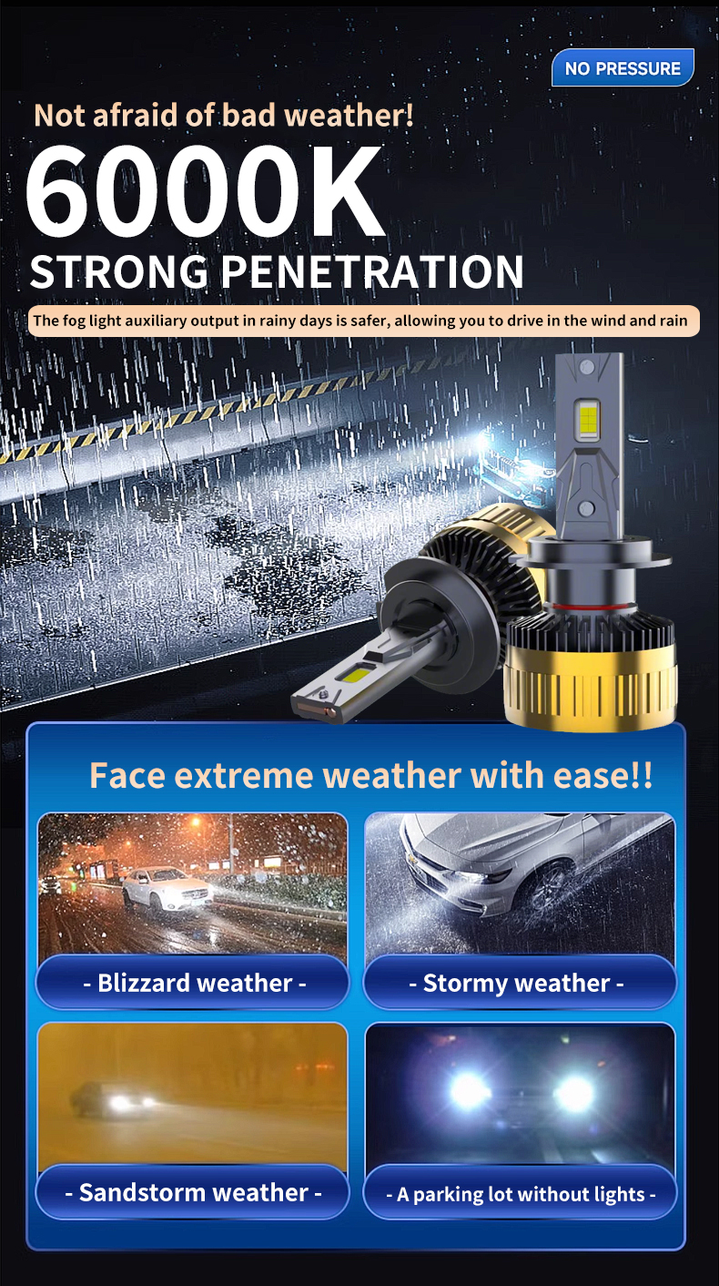 详情-英文_03 详情